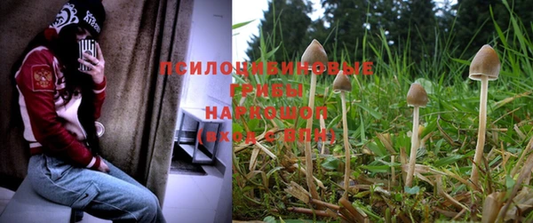 прущий лед Няндома