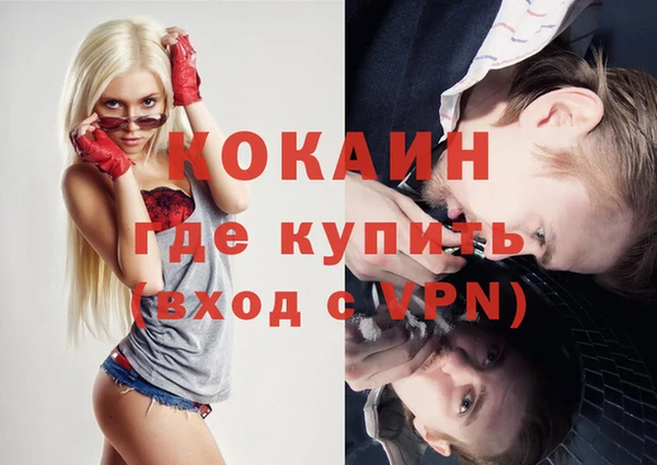 таблы Новозыбков