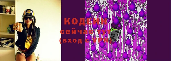 прущий лед Няндома